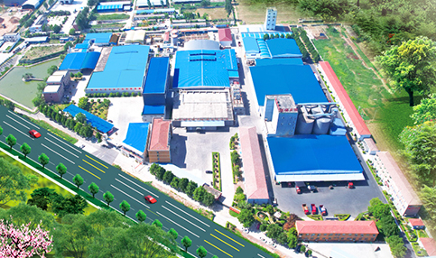 多宝手机网页版登录入口集团