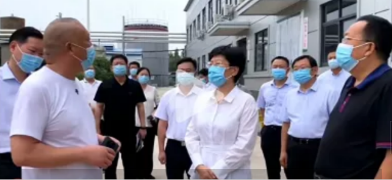 焦作市委书记葛巧红一行莅临多宝手机网页版登录入口集团参观调研！