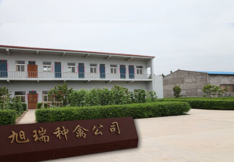 河南多宝手机网页版登录入口种禽有限多宝(中国)