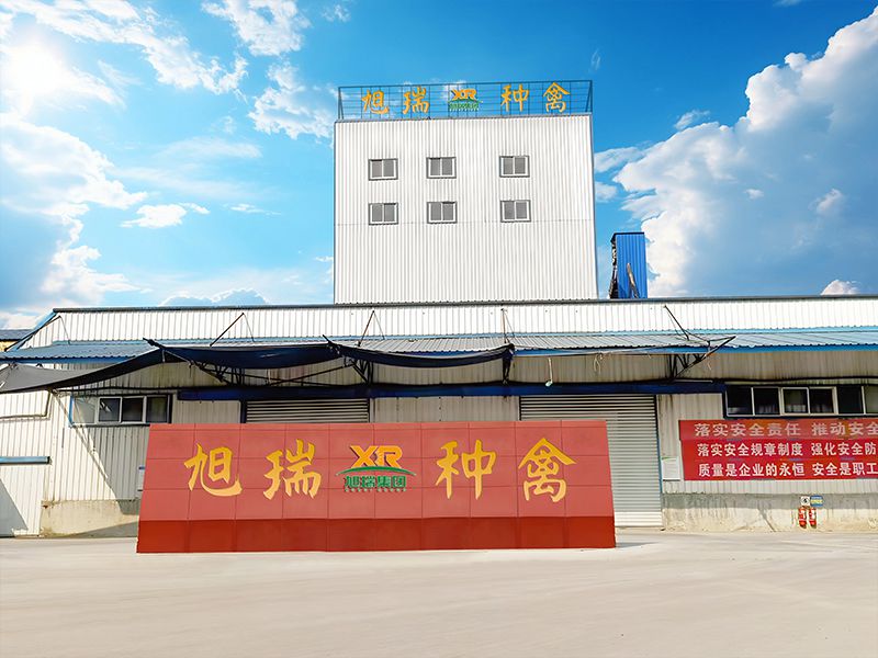 焦作和农饲料有限多宝(中国)