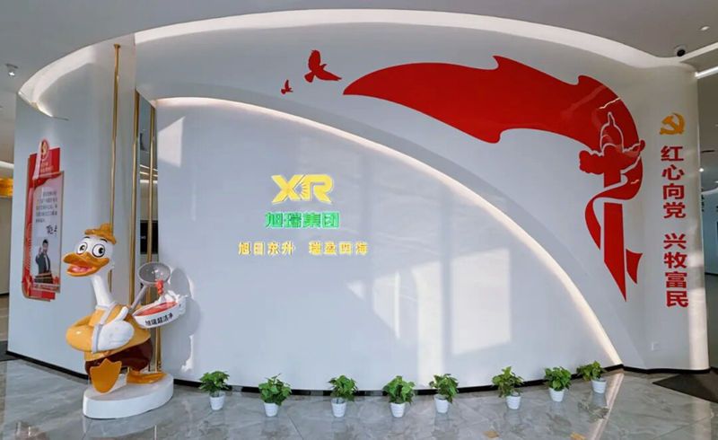 党建让多宝手机网页版登录入口发展更有温度,有色彩!